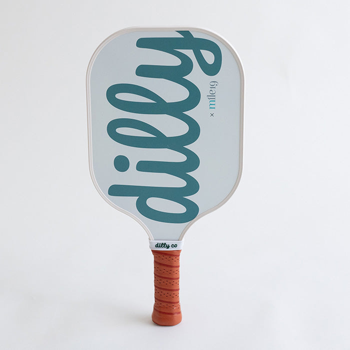 Fiberglass Pickleball Paddle with Skyline of Chicago and Rabbit Logo