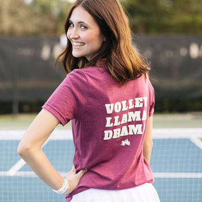 Womens Crewneck t-shirt with Dilly Co Logo and Volley Llama Drama